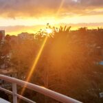 Blonde woman holding a cup on a balcony overlooking palm trees and a sunrise