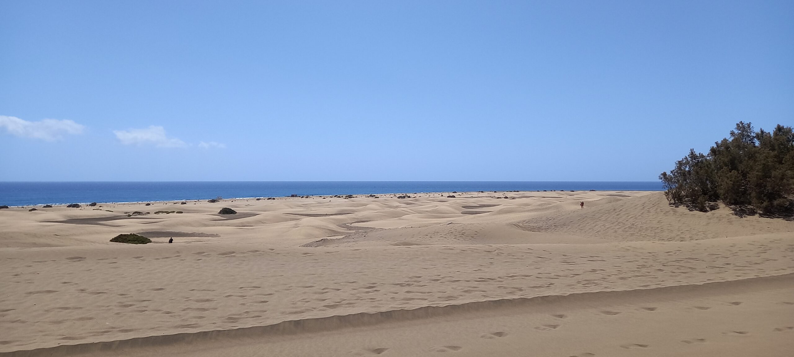 The Real Reason You Feel Offended So Easily (You’re Doing It to Yourself)