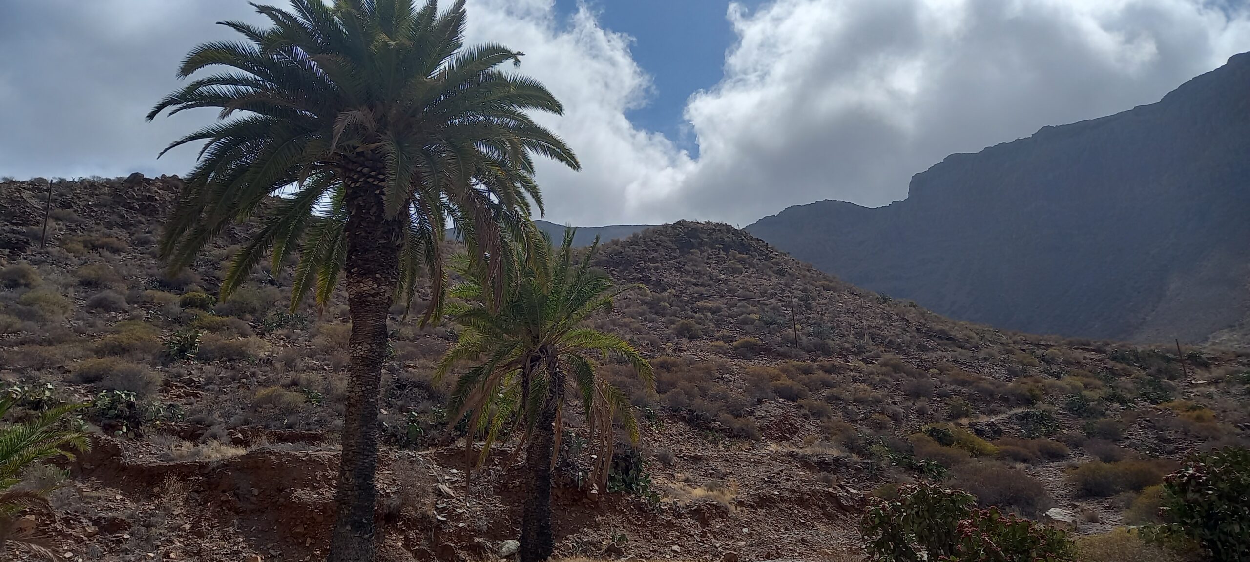 A 2 Minute Practice to Come Back to the Present 