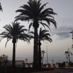 Silhouette of palm trees against the dusk sky