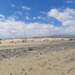 Golden sandy beach with some pebbles and a white cloudy blue sky